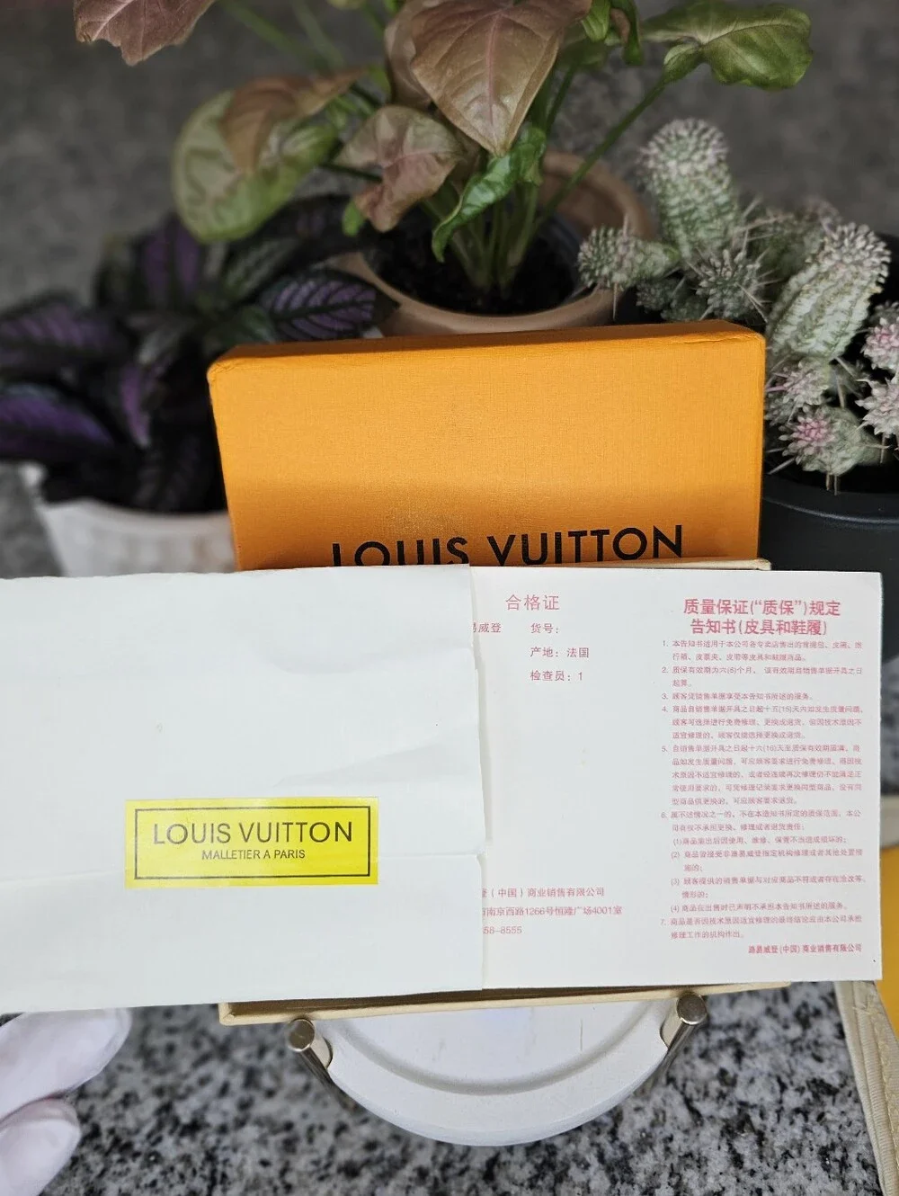 Louis Vuitton louis vuitton